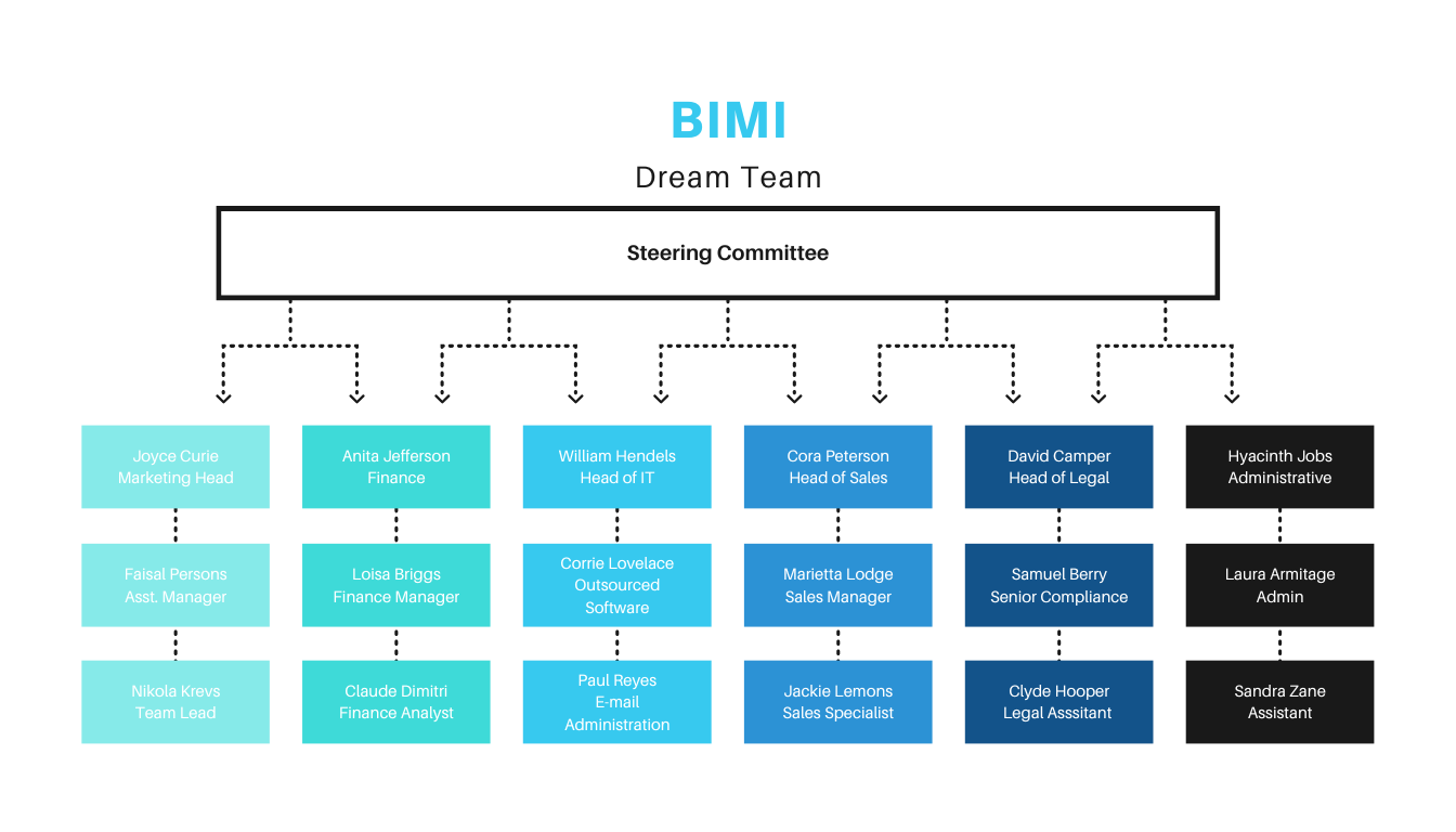 BIMI Dream team chart made of Marketing, Finance, IT, Sales, Legal, and administrative departments